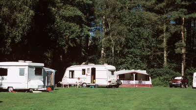 11++ Thetford Forest Camping And Caravanning Club Site